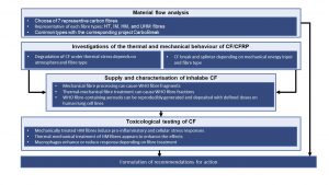 Compilation of the results of the CFC project in a graph