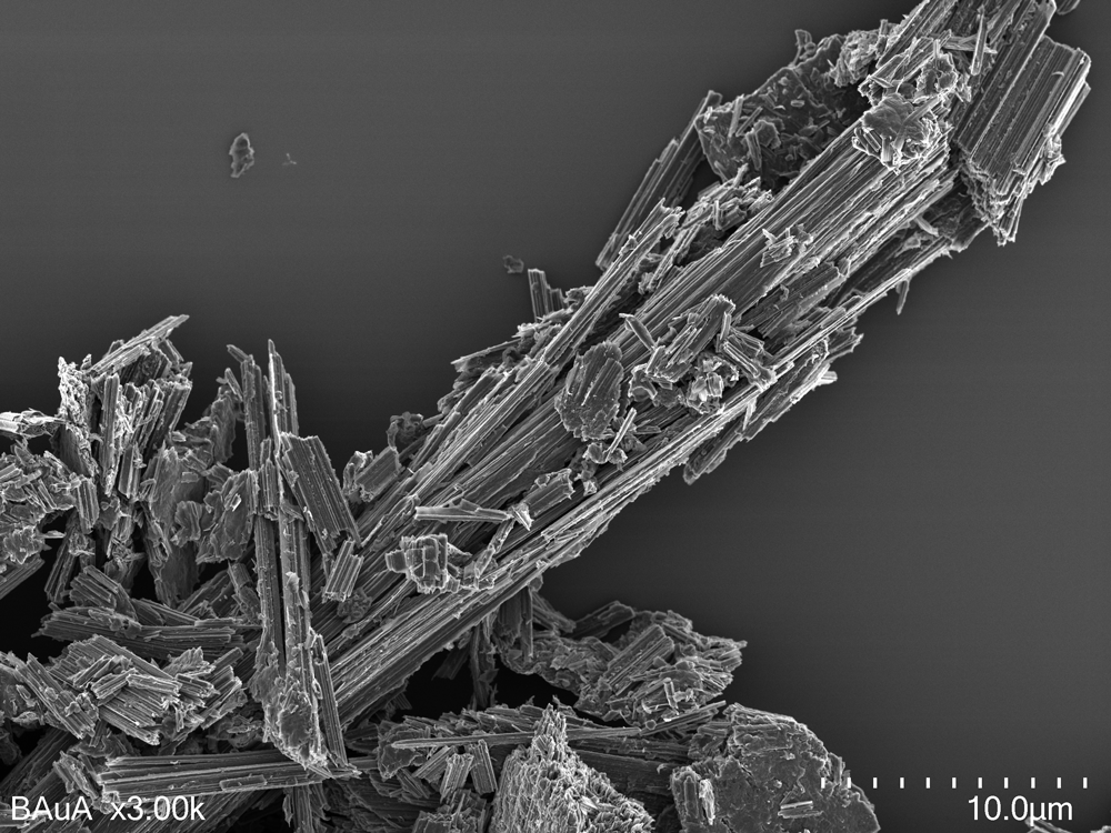 Image of carbon fiber fragments in the micrometer range taken with a scanning electron microscope