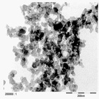 TEM image of Carbon Black agglomerates. © NanoCare Final Scientific Report