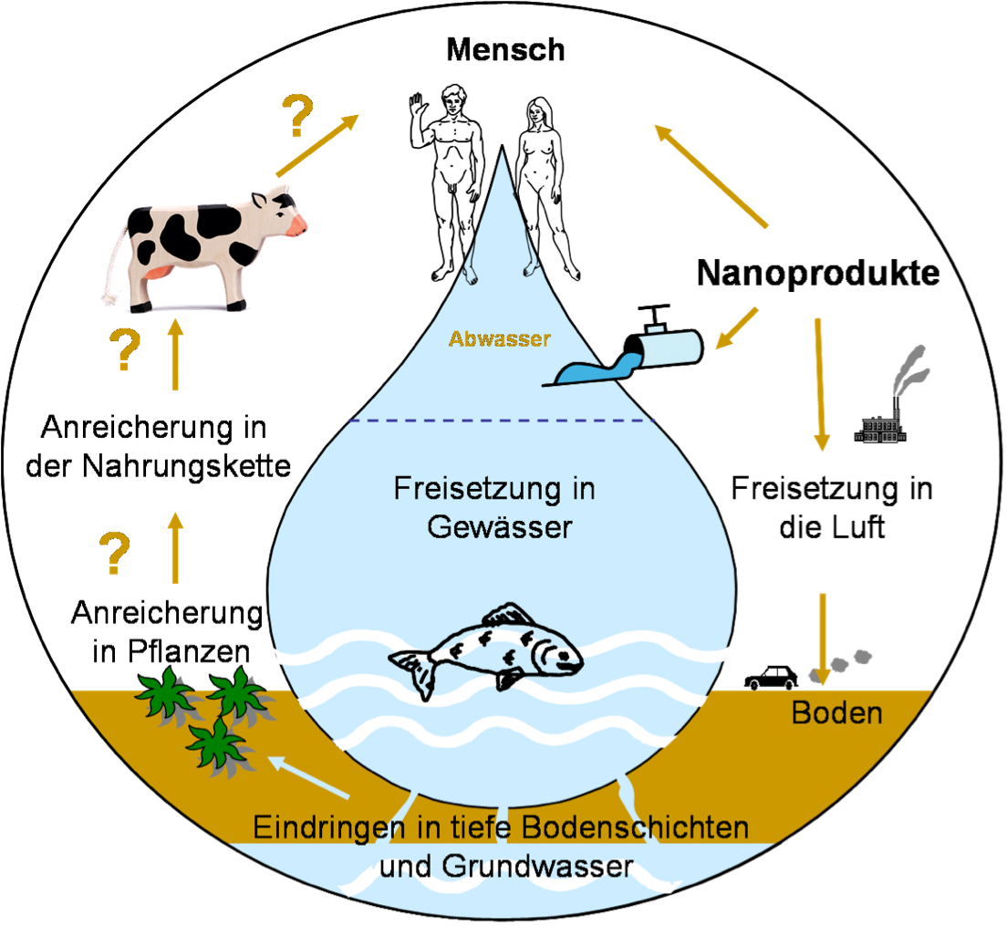 Schematische Darstellung des Lebenszyklus von Nanomaterialien.