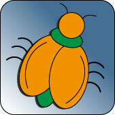 Icon insect