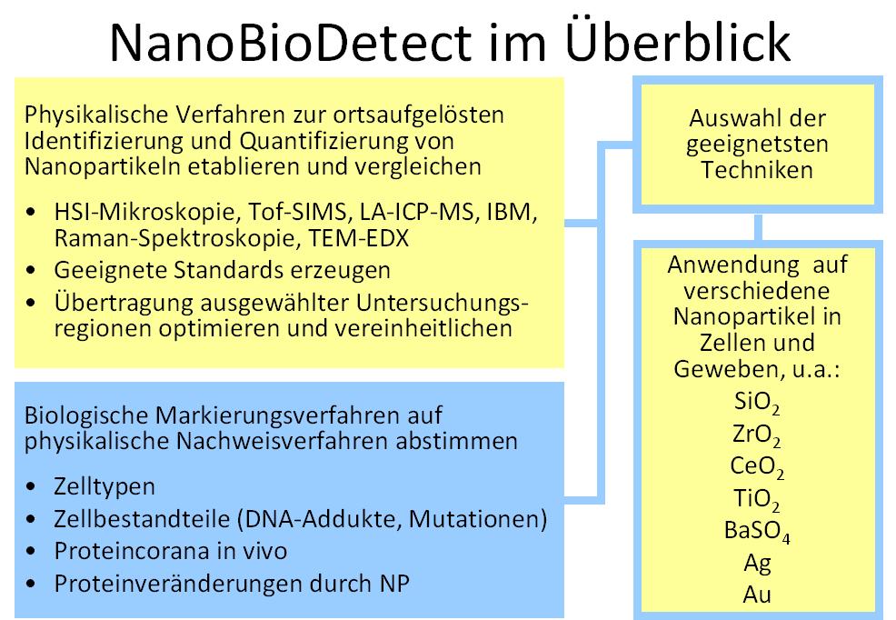 NanobioDetect Projektschema Deutsch