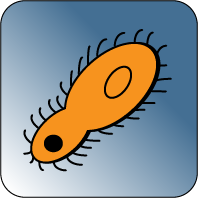 Icon bacteria