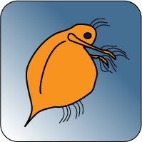 Water flea Icon