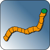 Worm Icon (c) DaNa Team