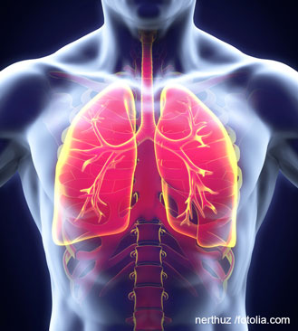 Illustration of a human torso with the lungs highlighted in red colour ©nerthuz / fotolia.com
