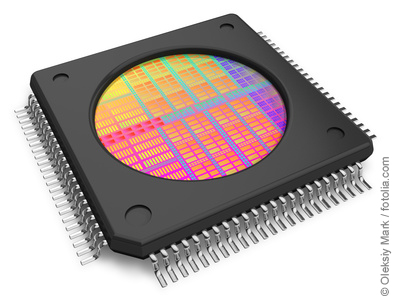 Microchip with visible die