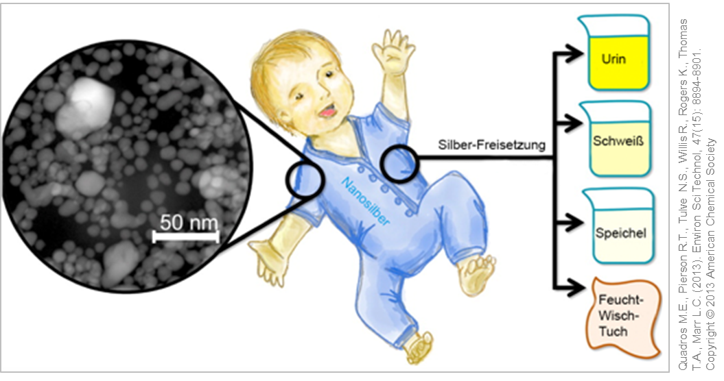 Analysis of (nano) silver containing consumer products for children. © Quadros M.E. et al. (2013)