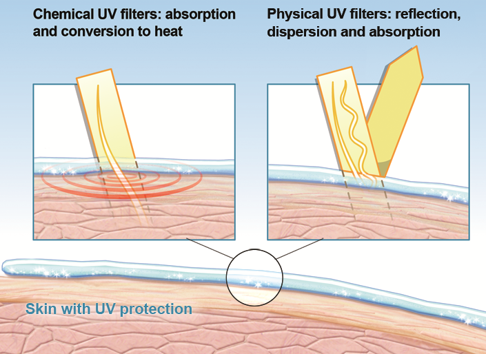 Infographic comparing physical and chemical UV filters that help protect the skin from harmful UV radiation.