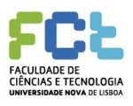 FCT Lisboa Logo