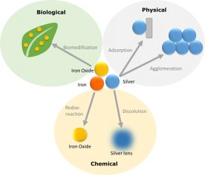 Overview of the transformation processes to which innovative materials are subject ©DaNa