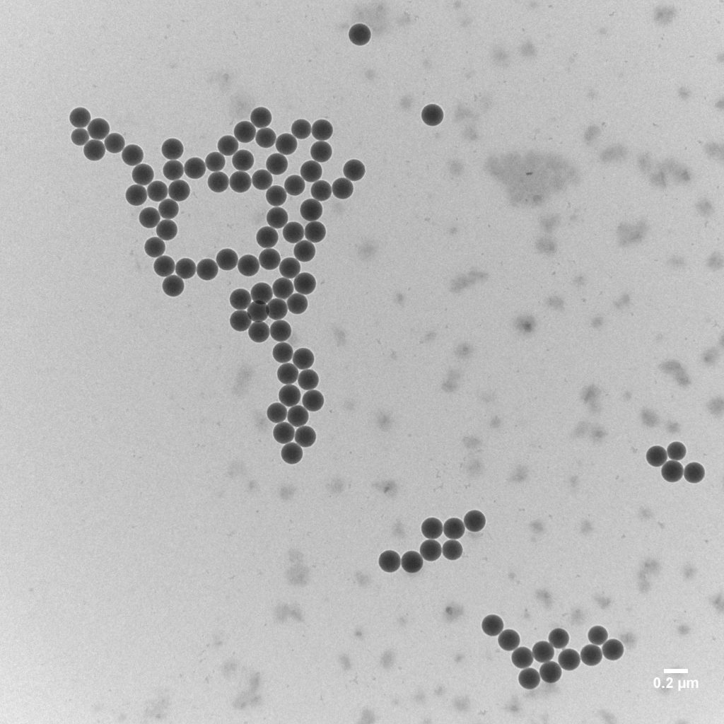 Transmissionselektronenmikroskop-Aufnahme von Polystyrol Nanopartikel in micrometer