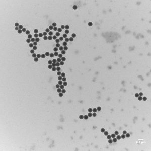 Image of polystyrene nanoparticles taken using a transmission electron microscope