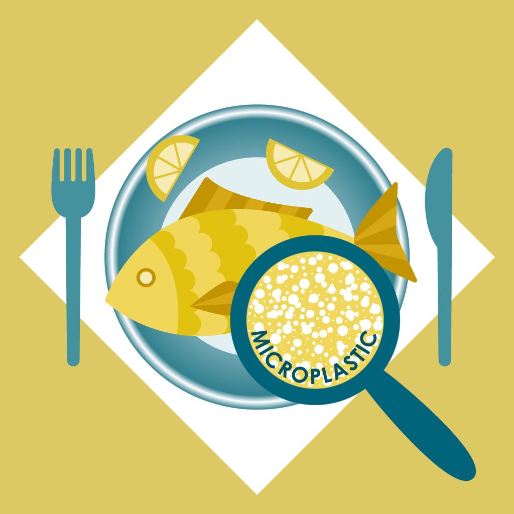 Bild eines Fisches auf einem Teller, begleitet von zwei Zitronenscheiben mit einer Gabel (links) und einem Messer (rechts). Eine Lupe zeigt das Mikroplastik im Fisch. Bildquelle Olkita-stock.adobe.com