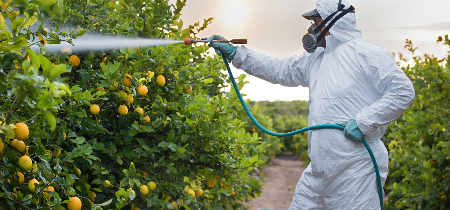 Nanopesticides - a proposal for a risk assessment framework