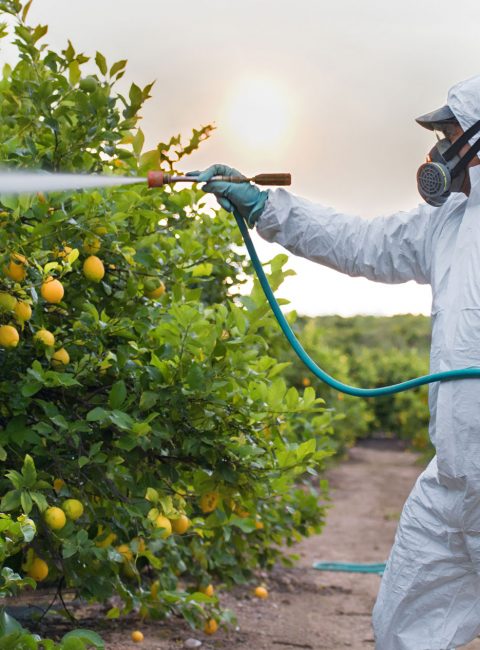 Spotlight October 2021: Nanopesticides – a proposal for a risk assessment framework