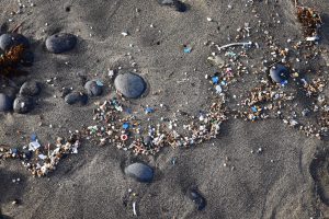 Strand mit Steinen, Plastikteilchen, Bildquelle Susanne Fritzschet - stock.adobe.com