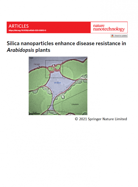 Spotlight December 2021: Silica nanoparticles improve plant disease resistance