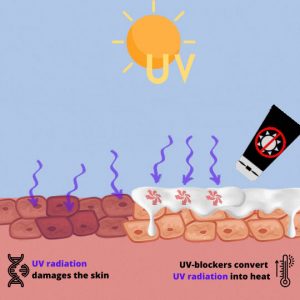 Schematic representation of the skin with sun rays, on the left without sunscreen, on the right with sunscreen. Sun rays as purple arrows on the skin. Image source: SE