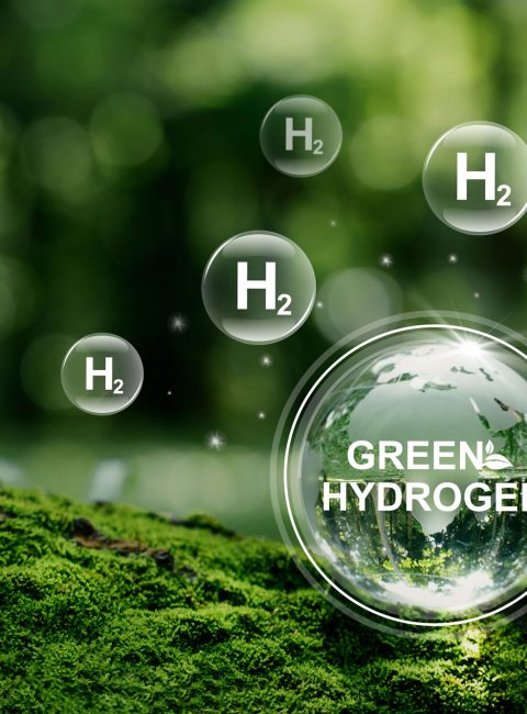 Spotlight Oktober 2023: Verbesserte Wasserstoffproduktion durch neuartigen Katalysator aus drei Metallen